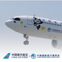 南航进博号彩绘TLS339