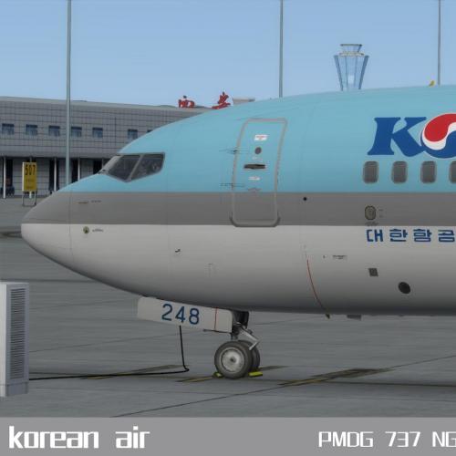 PMDG 737-900ER 大韩航空 HL8248