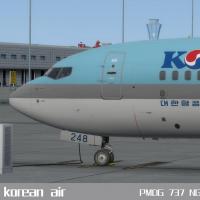 PMDG 737-900ER 大韩航空 HL8248